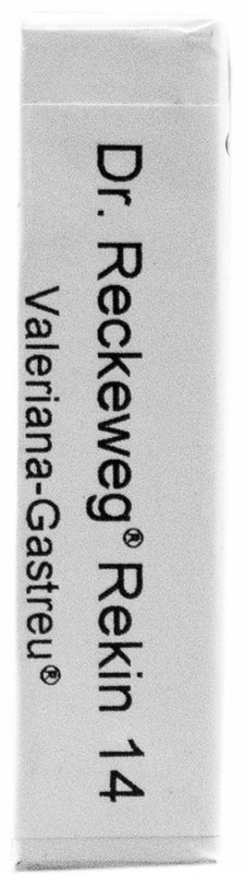 Rekin 14 Valeriana-Gastreu